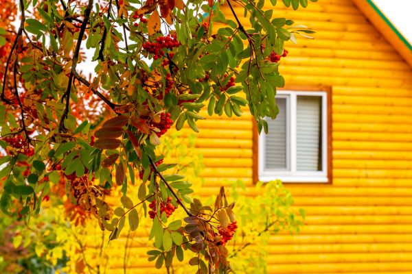 Cost of Garden Window Replacement in Bethlehem